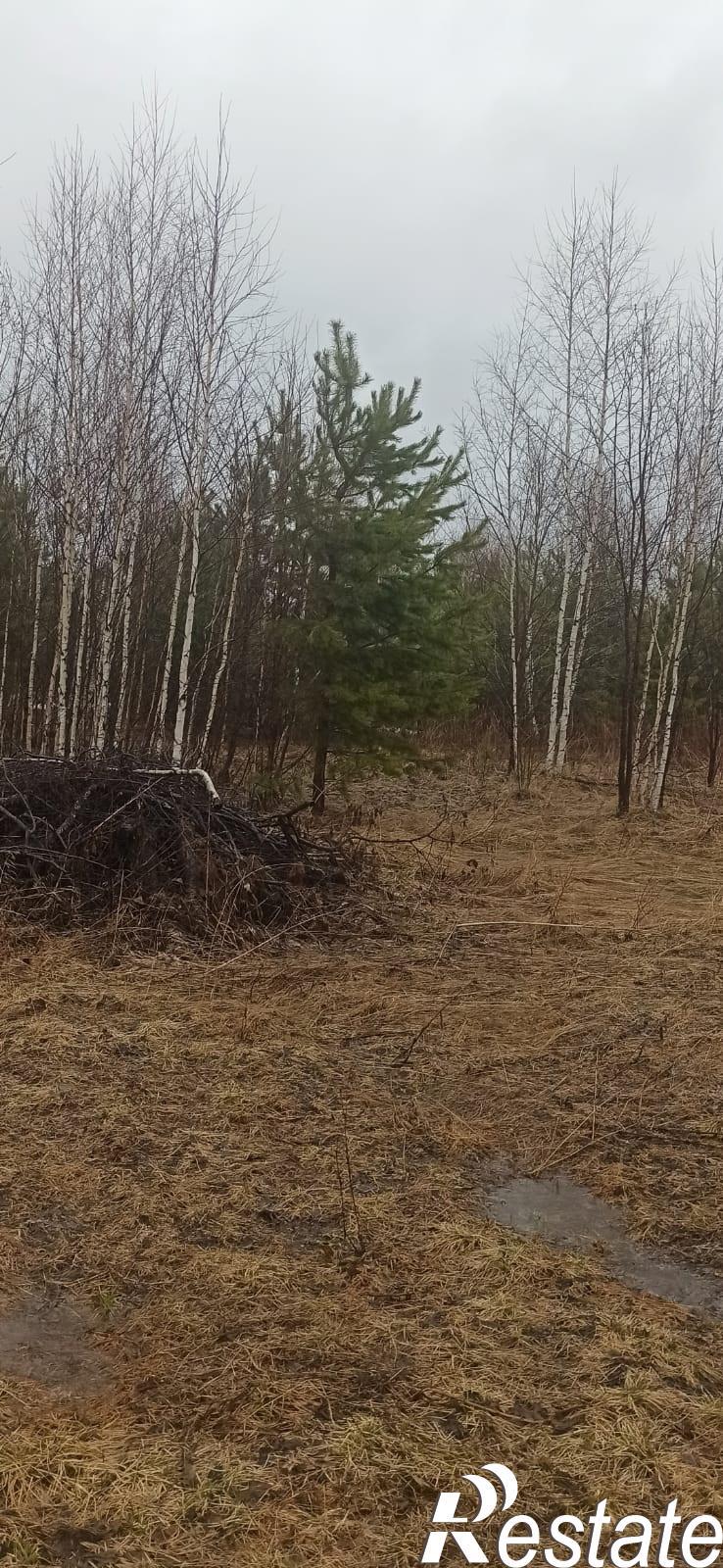 Купить землю, земельный участок за 790 000 рублей на урочище Шумиха