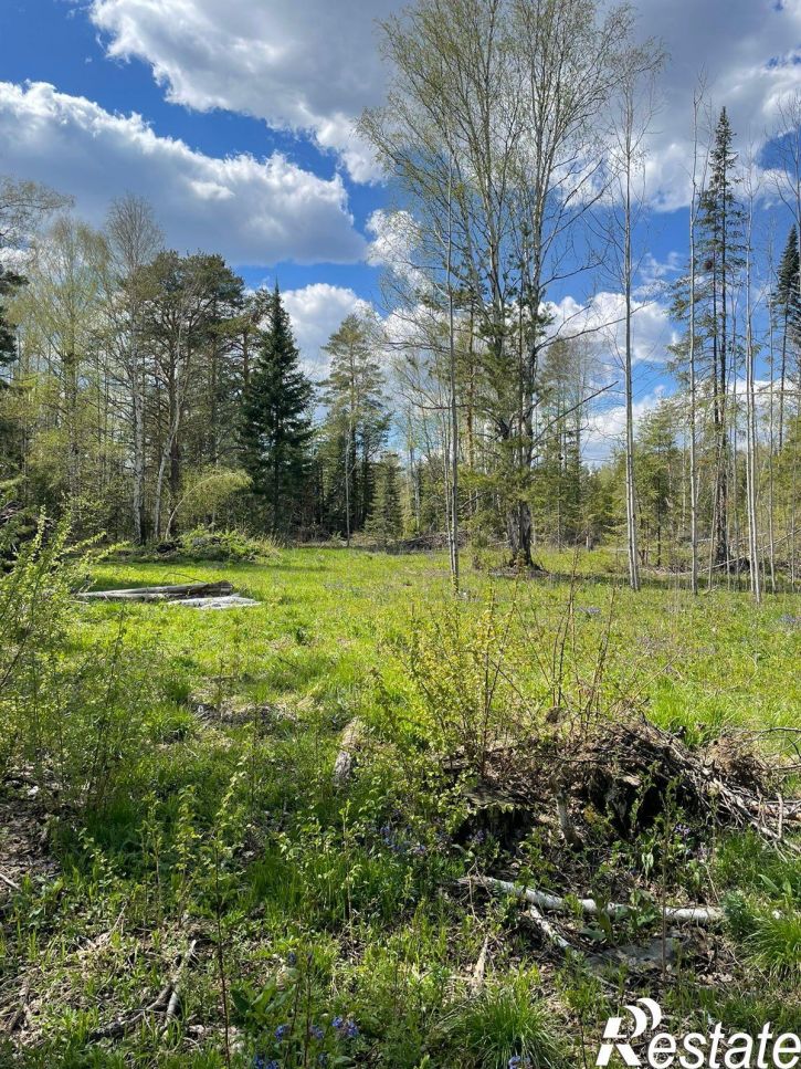 Земельный участок урочище Шумиха