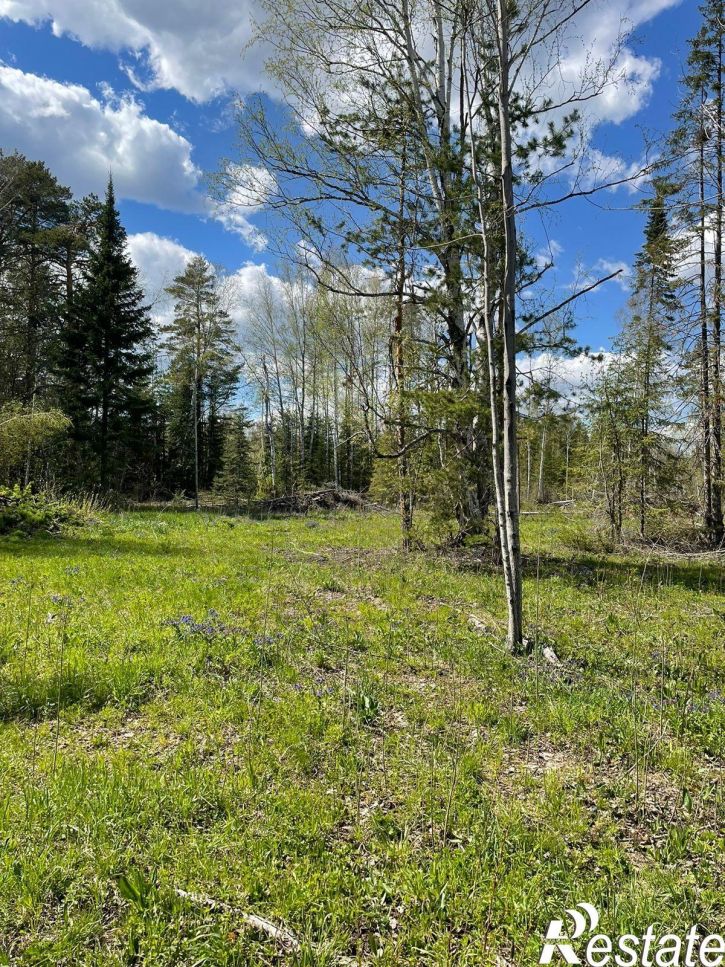 Земельный участок урочище Шумиха